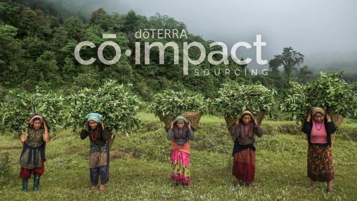 Doterra Co-Impact sourcing. Partnerships across the globe to protect the growers from unfair market conditions and unfair treatment.